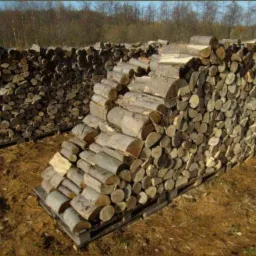 Ułożone na paletach, pocięte i posortowane drewno na opał, widoczne słoje i kora, tło stanowią drzewa.