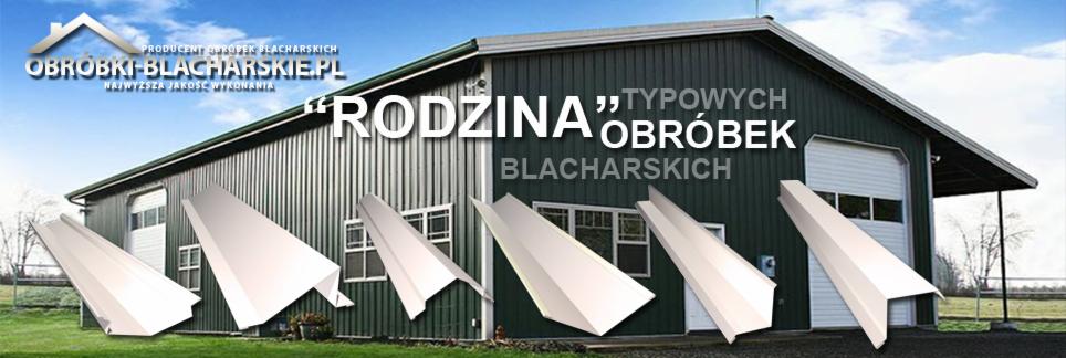 Budynek z blachy trapezowej w kolorze zielonym. Na pierwszym planie wizualizacja obróbek blacharskich w kolorze białym. Budynek ma bramę garażową i okna.