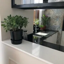 Roślina doniczkowa na białym blacie, widok na fragment kuchni z czarnym zlewem i baterią. W tle szklanki na półce i dekoracyjna ściana.