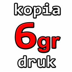 druk kopia xero ksero 6 groszy