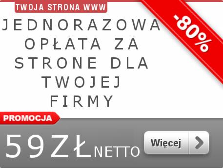 Grafika reklamowa: Jednorazowa opłata za stronę WWW dla Twojej firmy, promocja -80%, cena 59 zł netto, przycisk 'Więcej'.
