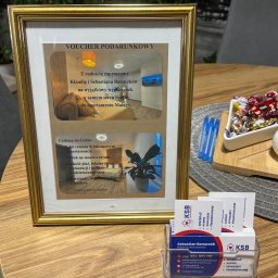 Leasing samochodu Ostrowiec Świętokrzyski 1