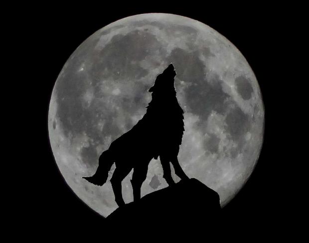 odzyskanie długu, windykacja należności