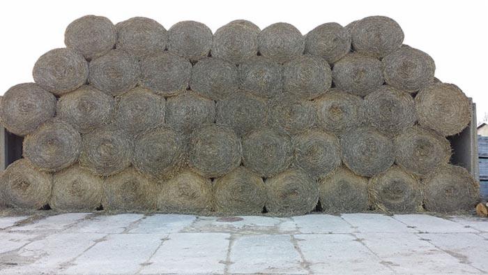Stos okrągłych balotów słomy żytniej ułożonych na betonowej posadzce, widoczne ślady użytkowania posadzki, w tle budynki gospodarcze.