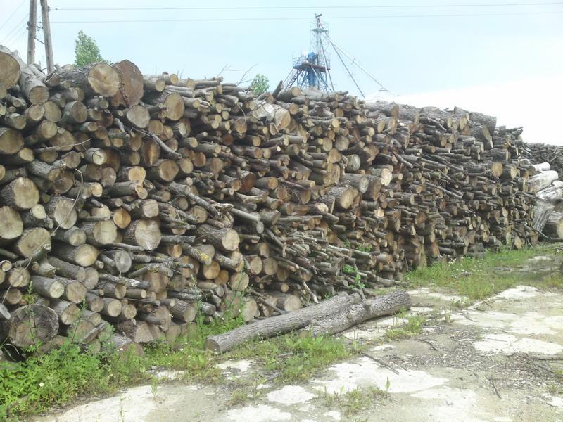 Stos pociętego drewna opałowego liściastego, ułożonego na betonowym placu, z widoczną w tle konstrukcją przypominającą silos zbożowy.