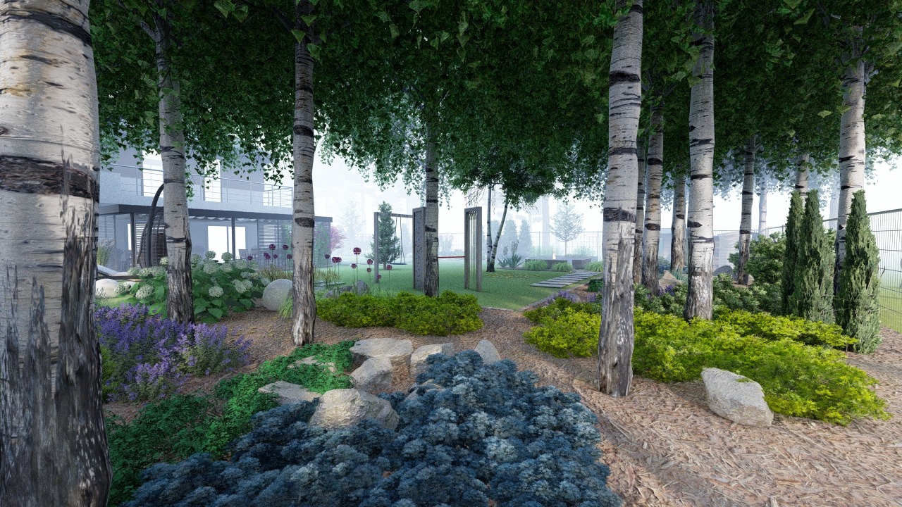 Projekt ogrodu z białymi brzozami, kwitnącymi rabatami, elementami placu zabaw i nowoczesnym domem w tle.