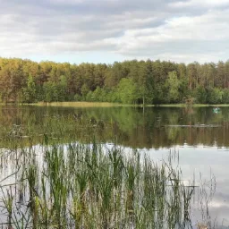 Spokojne jezioro otoczone lasem iglastym, z widoczną łódką rybacką na wodzie, odbijające się chmury na powierzchni. W pierwszym planie wysokie trawy.