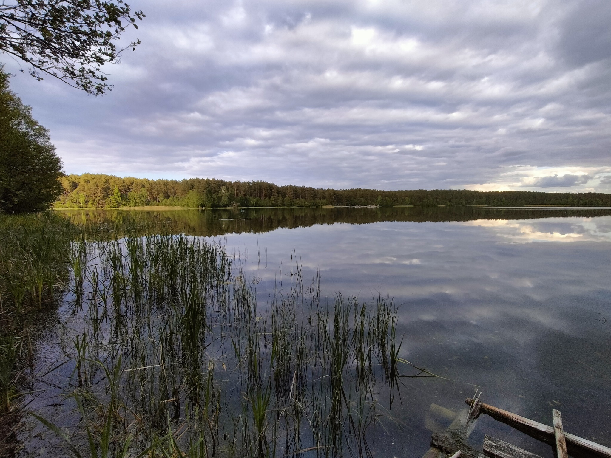 Spokojne jezioro z odbiciem chmur, otoczone lasem, z trzcinami na pierwszym planie i fragmentem drewnianej konstrukcji w prawym dolnym rogu.