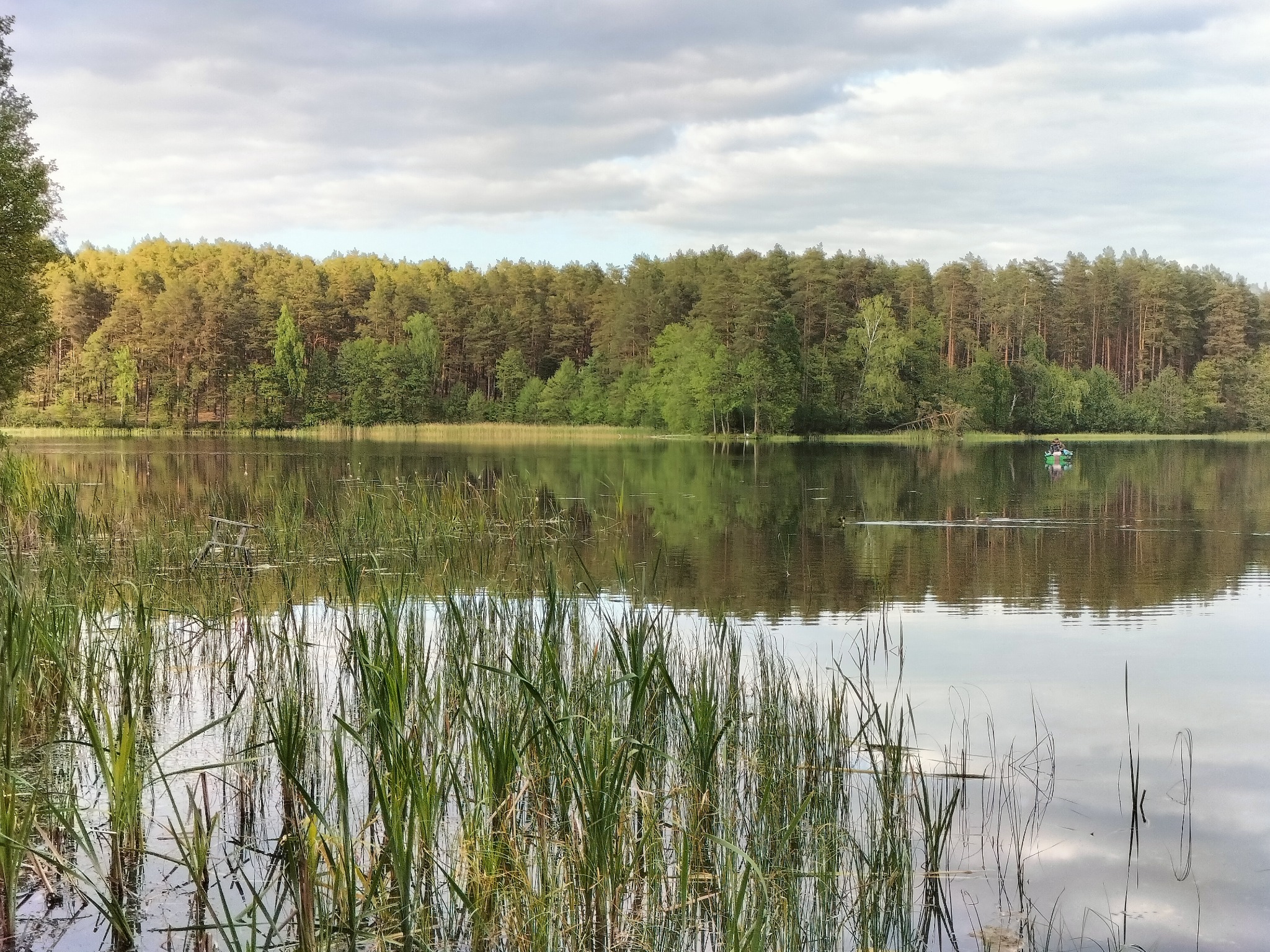 Spokojne jezioro otoczone lasem iglastym, z widoczną łódką rybacką na wodzie, odbijające się chmury na powierzchni. W pierwszym planie wysokie trawy.