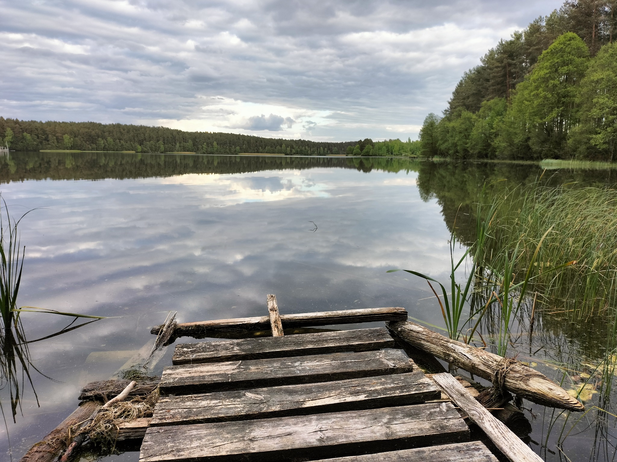 Drewniany pomost na jeziorze z odbiciem chmur i lasu. Spokojna woda, zieleń drzew i trzcin. Idealne miejsce na relaks i wycieczki krajoznawcze.
