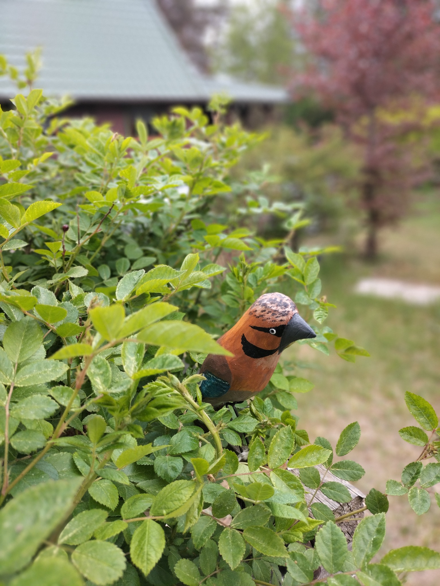 Ręcznie malowana drewniana figurka ptaka ukryta w krzewie z zielonymi liśćmi na tle ogrodu z rozmytą architekturą. Dekoracja ogrodu.