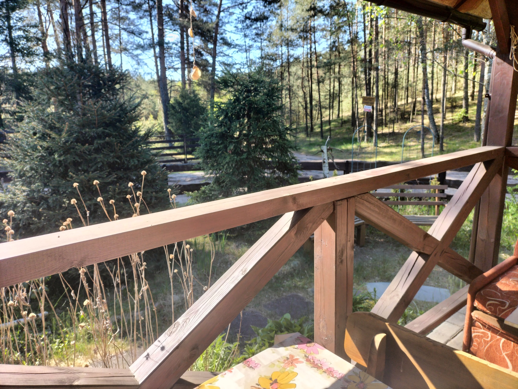 Widok z drewnianego balkonu na las sosnowy w słoneczny dzień. Stolik z kwiecistym obrusem i fragment fotela. Elementy drewnianej balustrady na pierwszym planie.