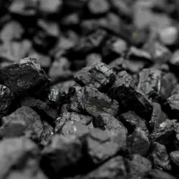 EKOGROSZEK - LUZ pow. 24t