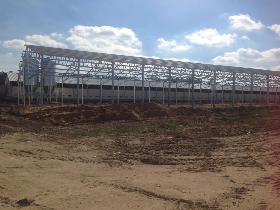 Szkielet hali z widoczną konstrukcją nośną ze stali, częściowo obudowaną płytami, na tle nieba z chmurami i ziemi z wykopami.