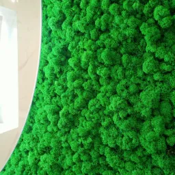 Ściana pokryta dekoracyjnym mchem chrobotkiem reniferowym w intensywnym odcieniu zieleni, obok fragmentu białej, marmurowej ściany z oświetleniem.