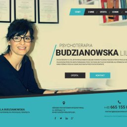 Tworzenie stron internetowych Gorzów Wielkopolski 15