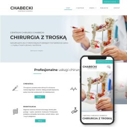 Tworzenie stron internetowych Gorzów Wielkopolski 1