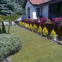 Zadbany ogród przydomowy z równo przystrzyżonym trawnikiem, rabatami kwiatowymi w drewnianych skrzyniach i ozdobnymi krzewami iglastymi wzdłuż ścieżki.