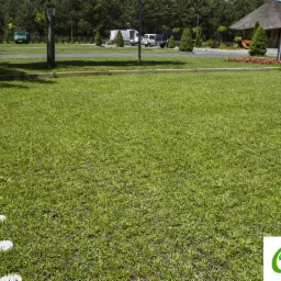 Ujęcie trawnika wzmocnionego kratką trawnikową Eko Star, z ścieżką z okrągłych kamieni. W tle widoczny parking z samochodami i budynek z dachem krytym strzechą.