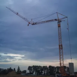 Żuraw wieżowy Liebherr na tle pochmurnego nieba i linii drzew, widoczny w trakcie pracy na placu budowy.