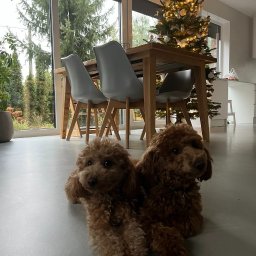 Firma remontowa Raszyn 2