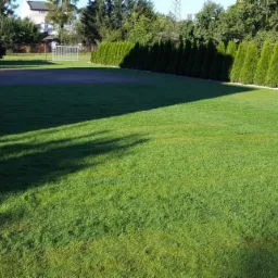 Rozległy trawnik z rolki, świeżo ułożony, z widocznymi rolkami na palecie, obok kostki brukowej i rzędu tuj, w tle siatka ogrodzeniowa i budynek.