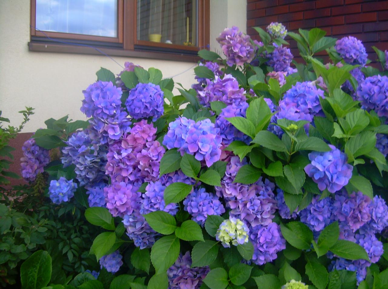 analiza gleby, plany nawożenia