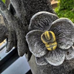 Kamienioplastyka.pl Magdalena Trochanowska-Pytka - 