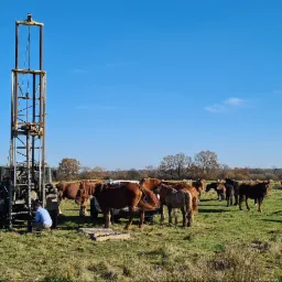 Prace geologiczne na łące: wiertnica samochodowa otoczona stadem koni, pracownik w niebieskiej koszuli przy maszynie, błękitne niebo, jesienne drzewa w tle.