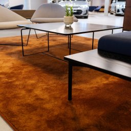 WITAN Centrum Podłóg Sp. z o.o. - Pomarańczowy dywan w salonie samochodowym, stolik kawowy z rośliną doniczkową, fotele i ekspozycja aut w tle. Nowoczesne wnętrze, ciepła kolorystyka, oświetlenie punktowe.