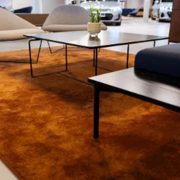 Pomarańczowy dywan w salonie samochodowym, stolik kawowy z rośliną doniczkową, fotele i ekspozycja aut w tle. Nowoczesne wnętrze, ciepła kolorystyka, oświetlenie punktowe.