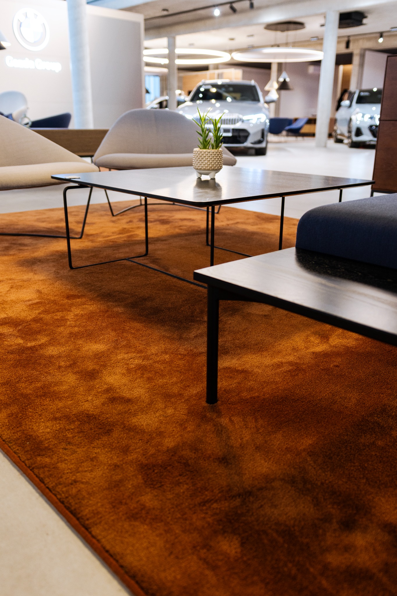 Pomarańczowy dywan w salonie samochodowym, stolik kawowy z rośliną doniczkową, fotele i ekspozycja aut w tle. Nowoczesne wnętrze, ciepła kolorystyka, oświetlenie punktowe.