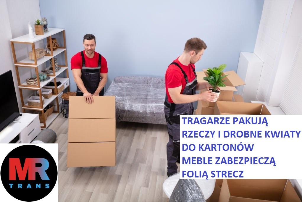 Dwóch mężczyzn w kombinezonach pakuje przedmioty do kartonów, jeden trzyma trzy kartony, drugi wkłada doniczkę z rośliną do kartonu, w tle sofa owinięta folią stretch.