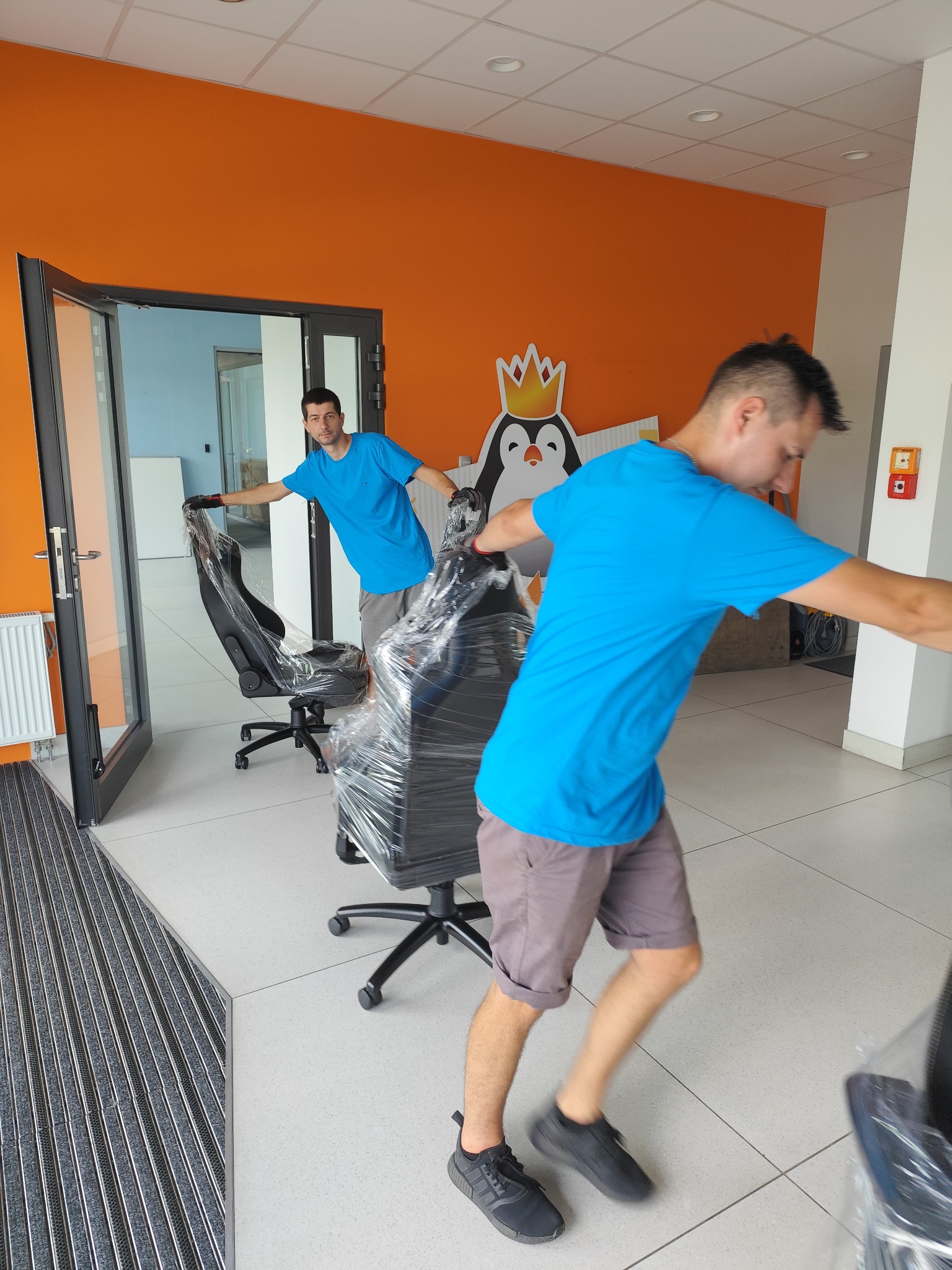 Dwóch mężczyzn w niebieskich koszulkach przenosi krzesła biurowe owinięte folią stretch wewnątrz budynku z pomarańczową ścianą i naklejką pingwina z koroną.