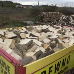 drewno grabowe nasypowe