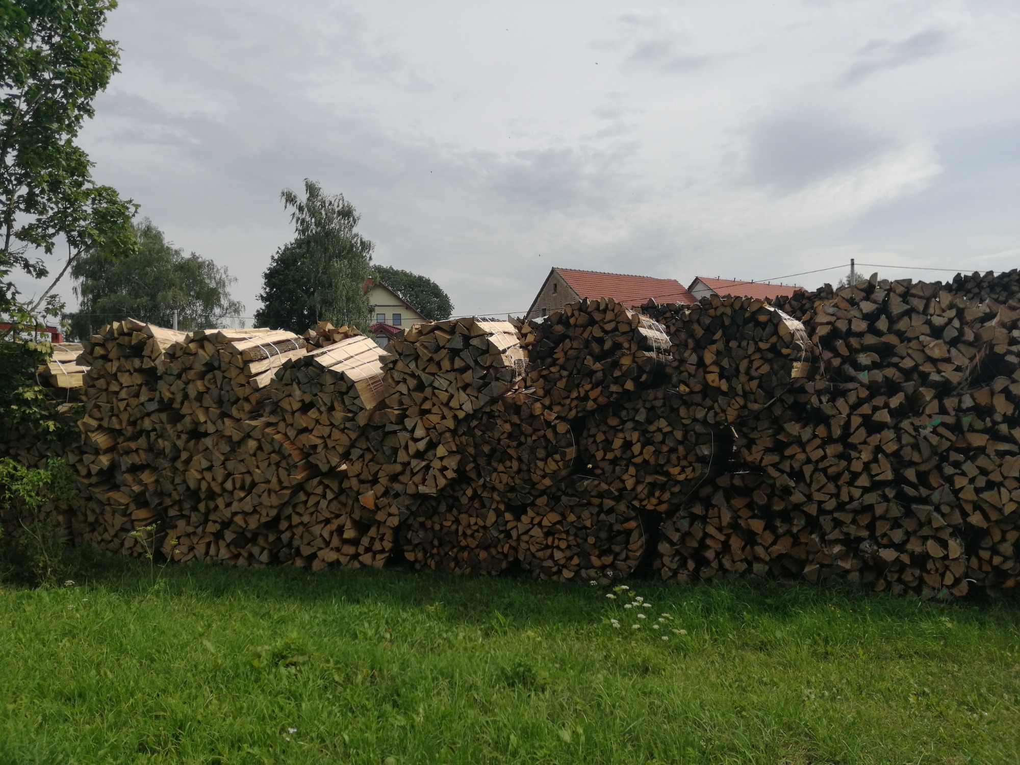 Stos drewna kominkowego ułożonego w pryzmy, część związana sznurkiem, w tle budynki z czerwonymi dachami i zachmurzone niebo.