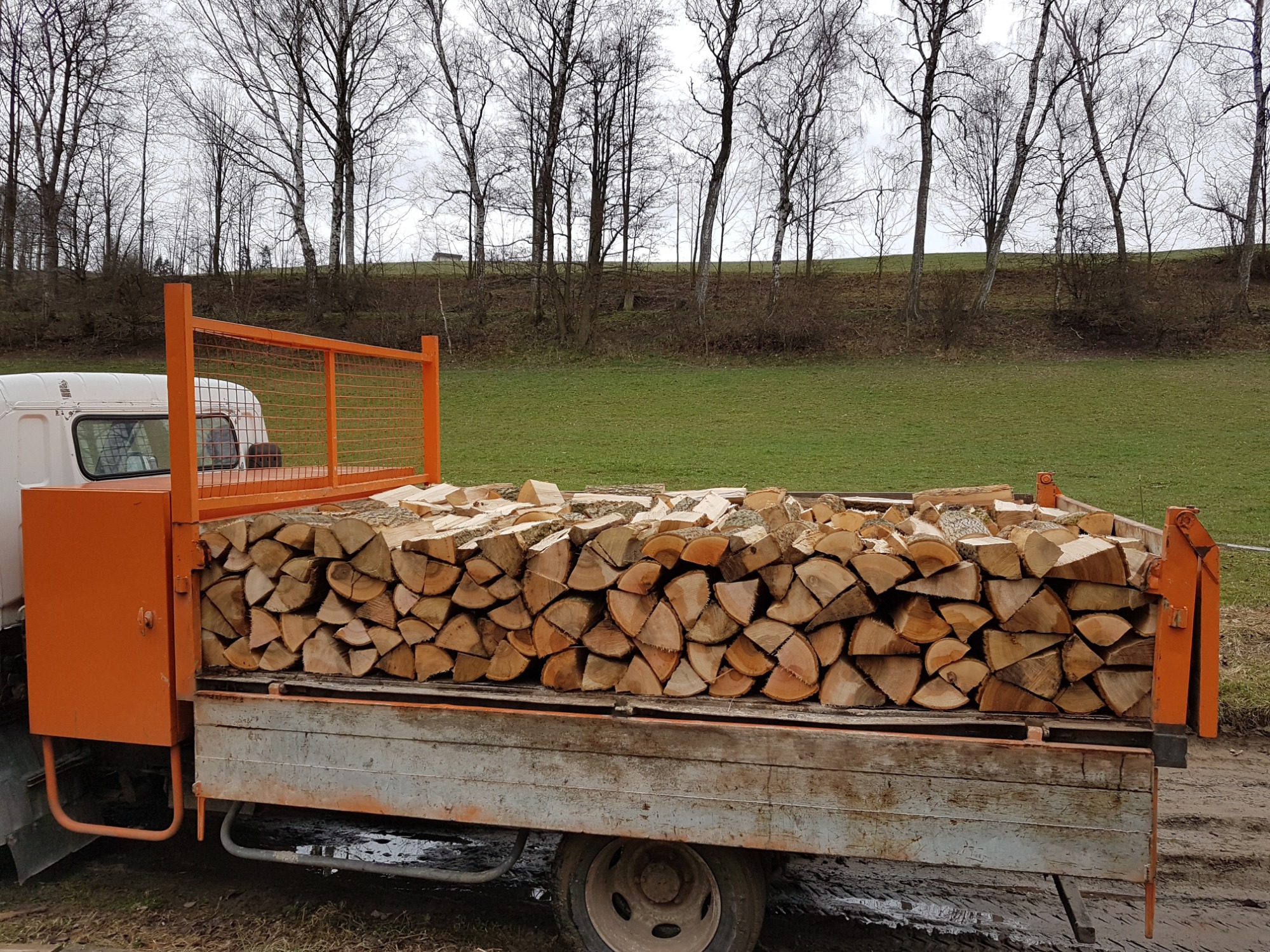 Pomarańczowa skrzynia ładunkowa wypełniona pociętymi kawałkami drewna na tle zielonego wzgórza i nagich drzew.