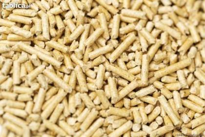 ADSW PELLET Sp. z o.o. - Skład węgla Tuczępy
