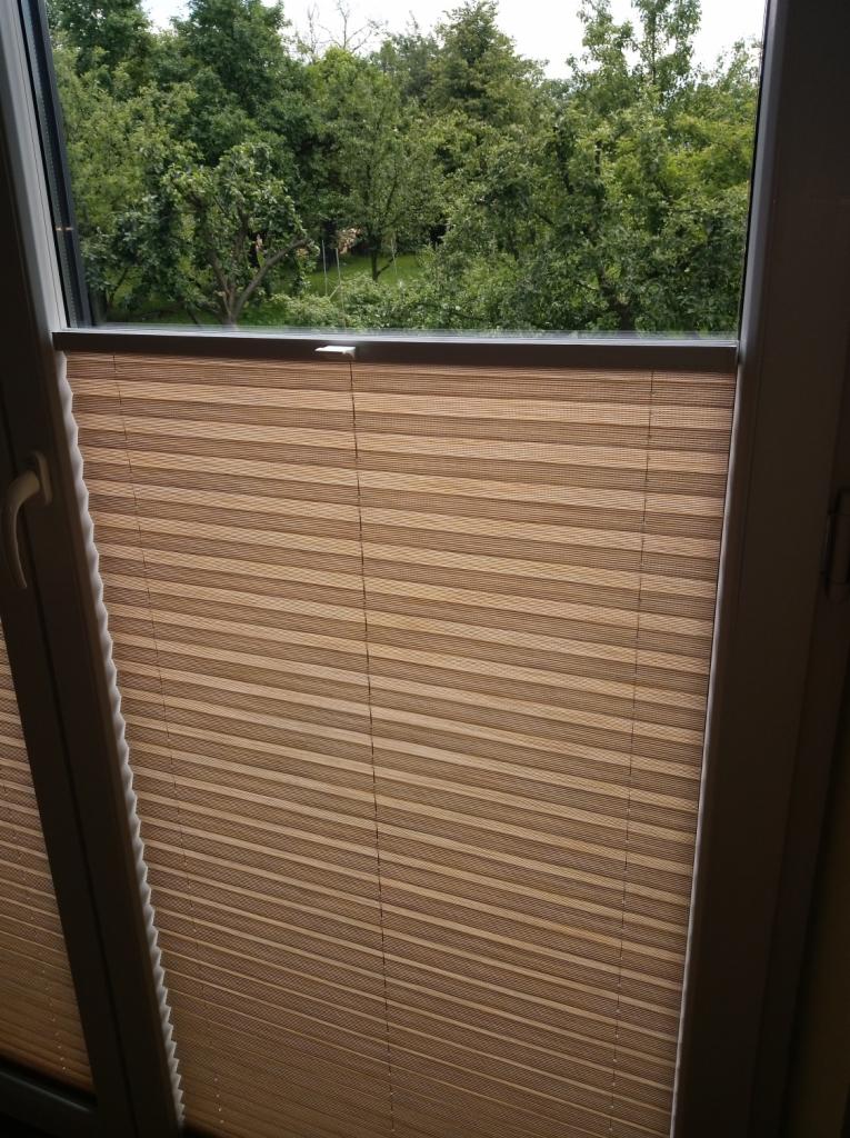 Beżowe plisy okienne zamontowane w oknie z widokiem na zieleń drzew