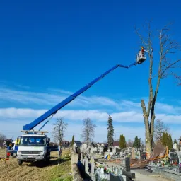 Pracownik na podnośniku koszowym przycina gałęzie drzewa na cmentarzu, widoczny niebieski wysięgnik i biała ciężarówka na tle błękitnego nieba z chmurami.