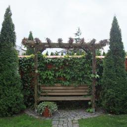 Ogrody i rośliny Poznań 2