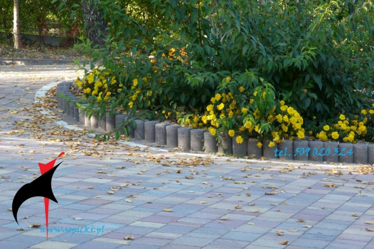 Ułożona kostka brukowa w odcieniach szarości i fioletu, obsypana liśćmi, obrzeże z betonowych słupków oddzielające rabatę z kwitnącymi żółtymi krzewami; w tle drzewa.