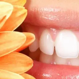 Pracownia Protetyczna M&M - porcelana, akryl, cyrkon, nylon, kompozyt, omlay