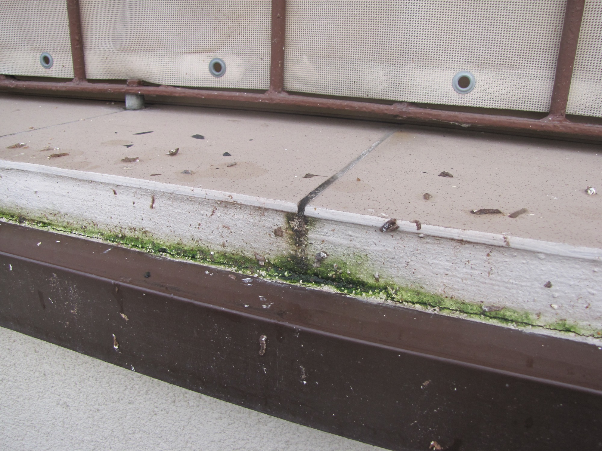 Blacha okapowa chyba nie w tym miejscu!