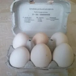 Otwarta wytłaczanka z sześcioma jajami o różnych odcieniach bieli i beżu, widoczna informacja dla konsumenta nadrukowana wewnątrz opakowania.