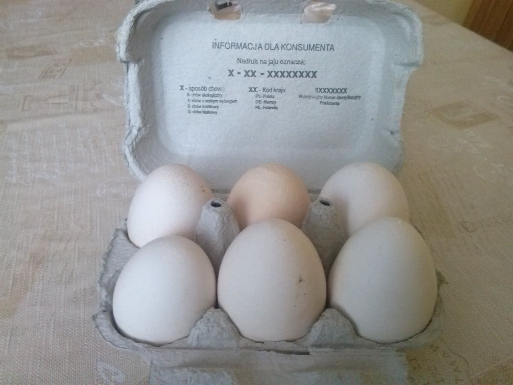 Otwarta wytłaczanka z sześcioma jajami o różnych odcieniach bieli i beżu, widoczna informacja dla konsumenta nadrukowana wewnątrz opakowania.