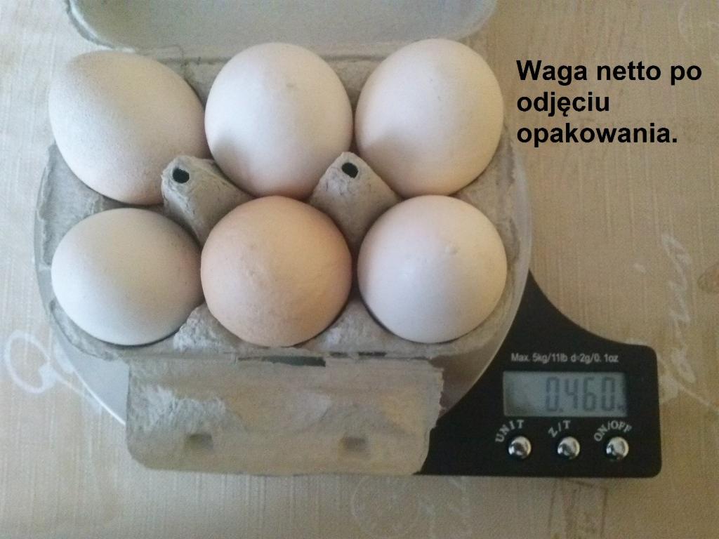 Sześć jaj w wytłoczce na wadze elektronicznej, wskazującej 0.460 kg. Widoczny napis: 'Waga netto po odjęciu opakowania'.