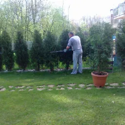 Mężczyzna w szarym t-shircie i jeansach przycina żywopłot z tui za pomocą elektrycznych nożyc; w tle trawnik z kamienną ścieżką i budynek z balkonami.