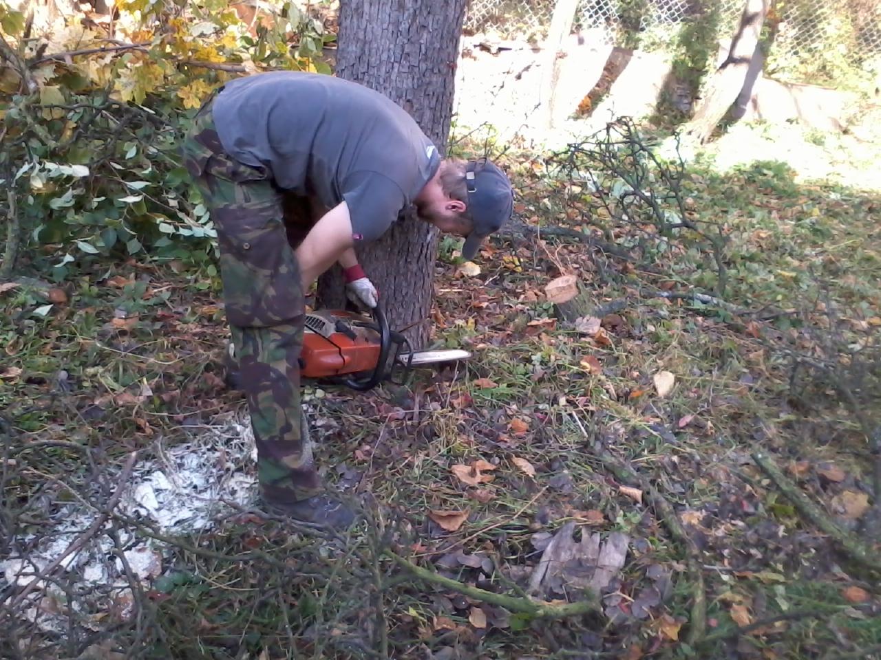 Mężczyzna w odzieży kamuflażowej tnie drzewo piłą łańcuchową, widoczne ścięte gałęzie i pień drzewa.