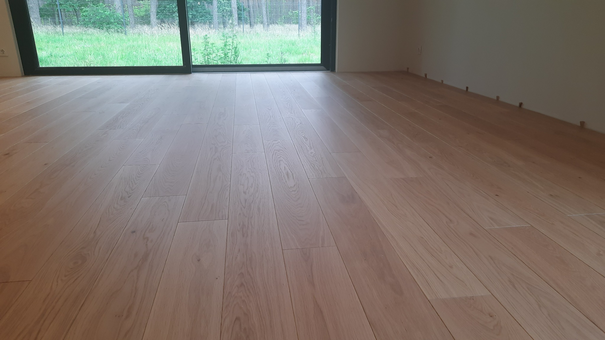 Jasna drewniana podłoga ułożona w nowym domu, widoczne kołki dystansowe przy ścianie, duże okno z widokiem na zieleń na zewnątrz.